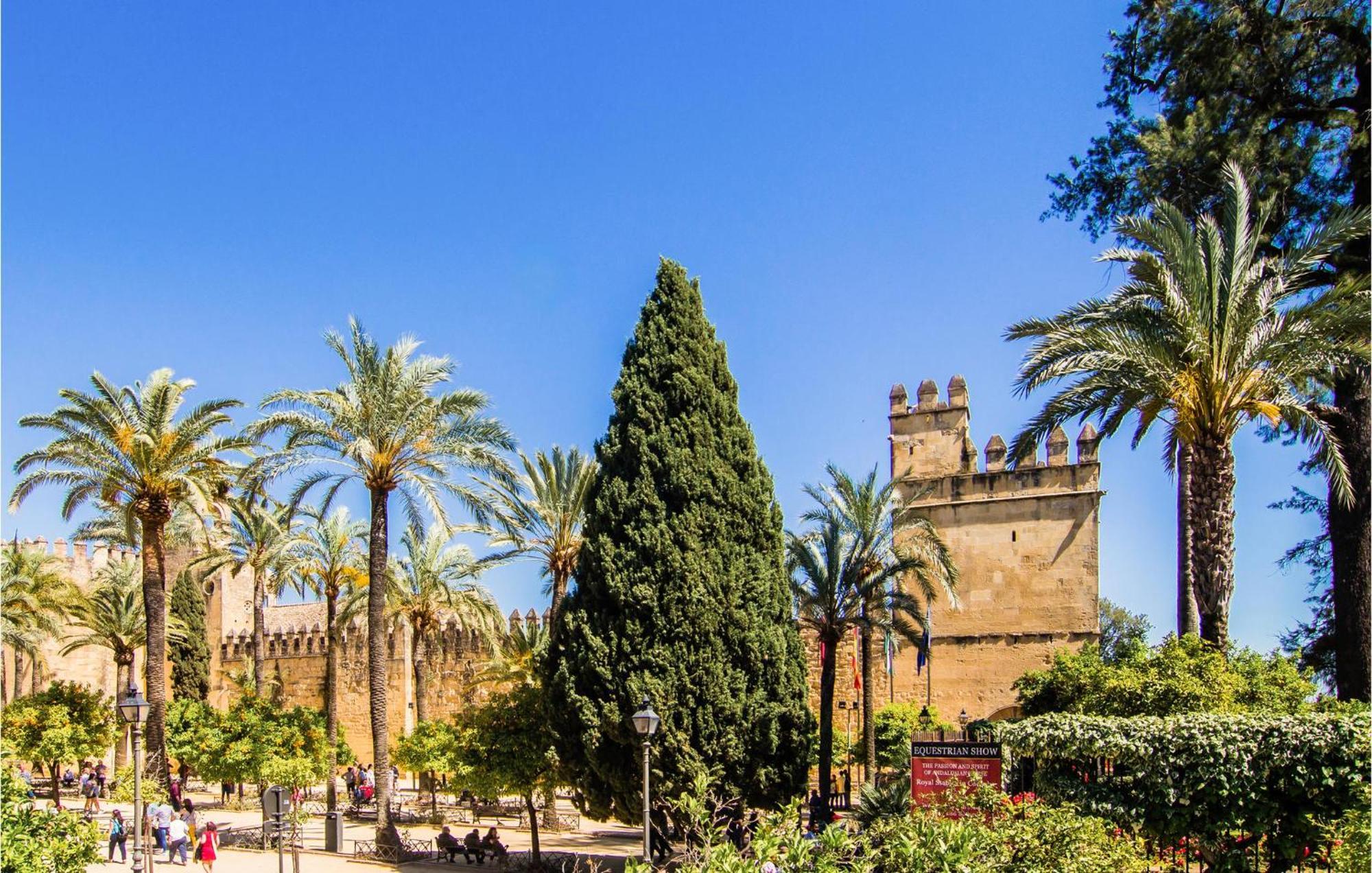 Lovely Apartment In Cordoba With Kitchen Exteriör bild